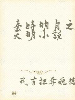 秦时明月之夜尽天明小说