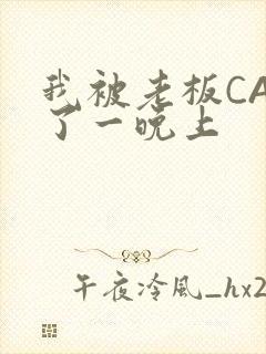 我被老板CAO了一晚上