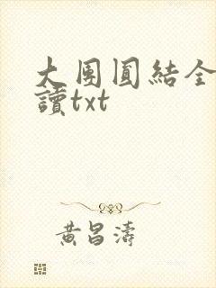大团圆结全文阅读txt