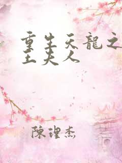 重生天龙之推倒王夫人