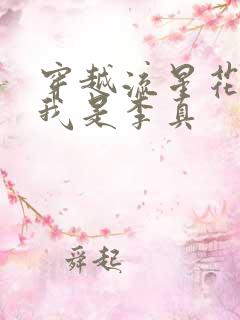 穿越流星花园之我是李真