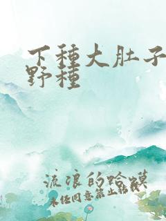 下种大肚子怀孕野种