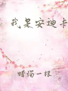 我是安迪卡罗尔