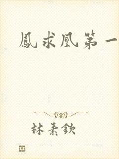 凤求凰第一皇后