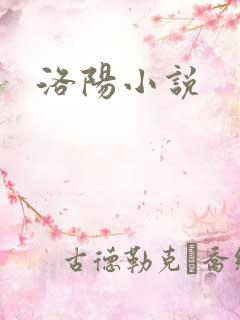洛阳小说