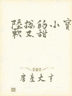 陆总的小宝贝又软又甜