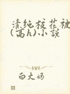 清纯校花被调教(高h)小说