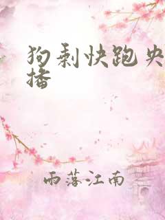 狗剩快跑央八首播