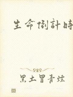 生命倒计时小说