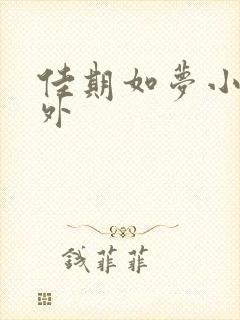 佳期如梦小说番外