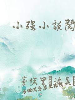 小强小说阅读网