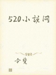 520小说网