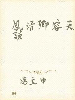 凤清卿容天凌小说