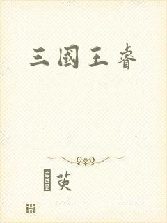 三国王睿