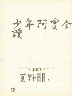 少年阿宾全集阅读