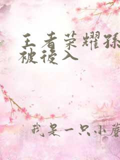 王者荣耀孙尚香被后入