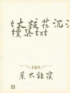 t大校花沉浮录续集txt