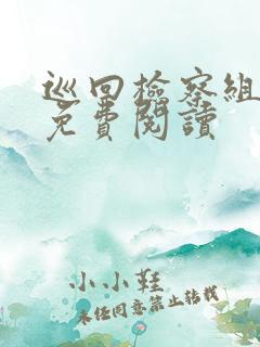 巡回检察组小说免费阅读