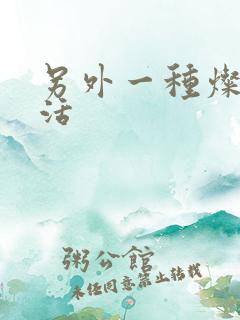 另外一种灿烂生活