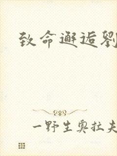 致命邂逅刘小寐