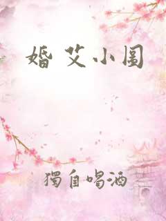 婚 艾小图