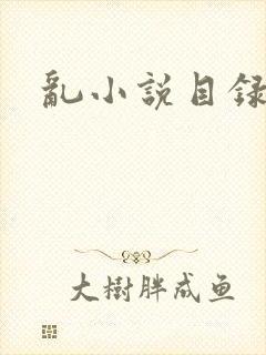乱小说目录全文