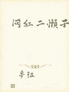 网红二懒子车祸