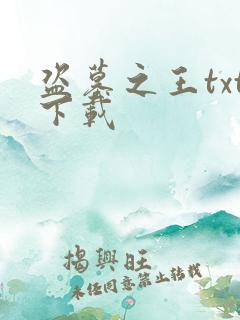 盗墓之王txt下载