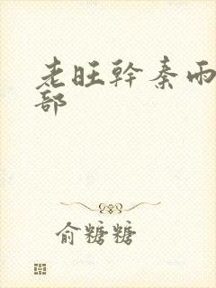 老旺干秦雨第二部