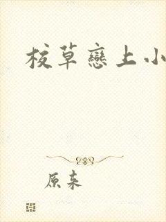 校草恋上小丫头