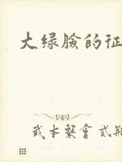 大绿脸的征途