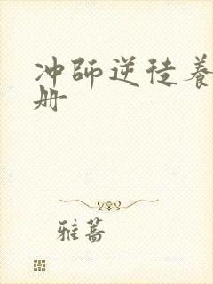 冲师逆徒养成手册