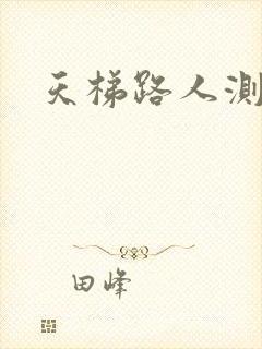 天梯路人测试器