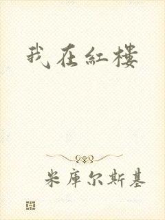 我在红楼