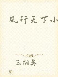 风行天下小说