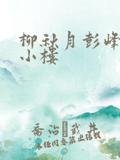 柳秋月彭峰月满小楼