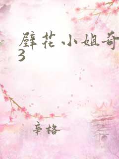 壁花小姐奇遇记3