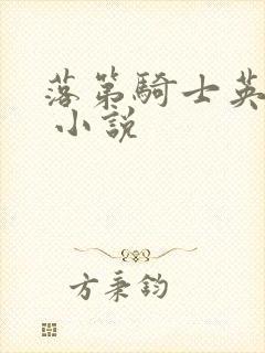 落第骑士英雄谭 小说