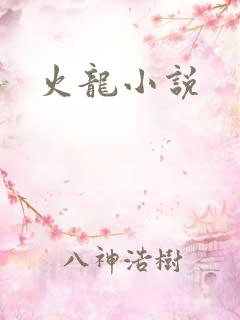 火龙小说