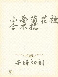 小受菊花被双龙合不拢