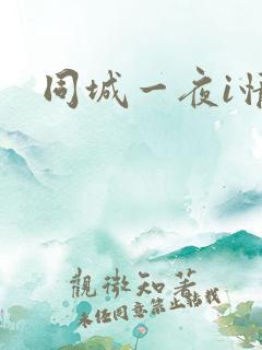 同城一夜i情