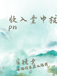 收入囊中校园hpn