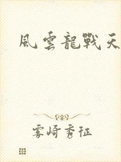 风云龙战天下