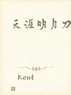 天涯明月刀盒子