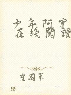少 年 阿 宾 在 线 阅 读
