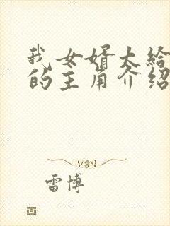 我女婿太给力了的主角介绍