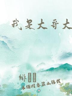 我是大哥大下载