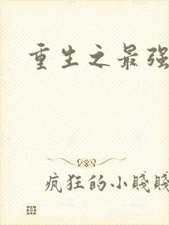 重生之最强英雄