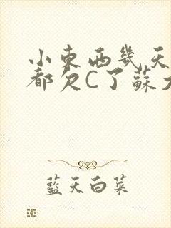 小东西几天没做都欠C了苏大深