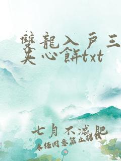 双龙入户三人行夹心饼txt